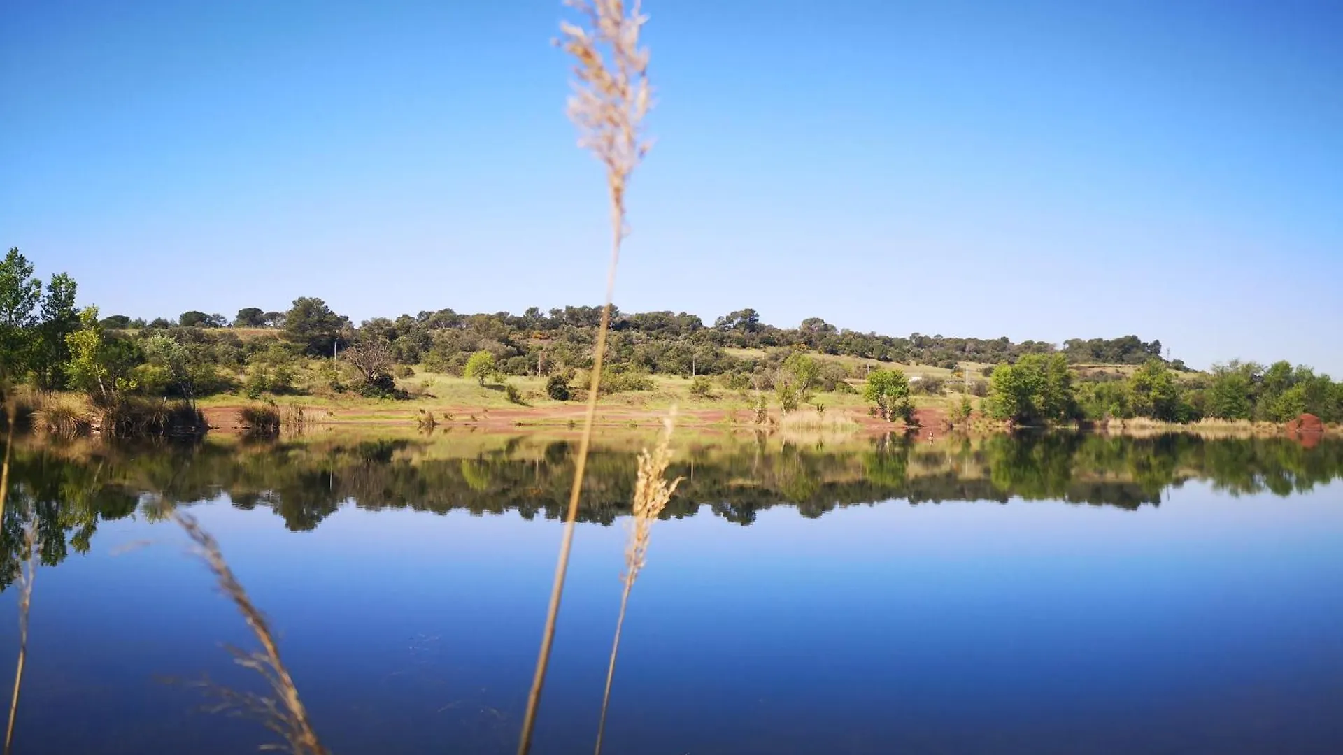 Le Nid Des Maures Apartment Le Cannet-des-Maures